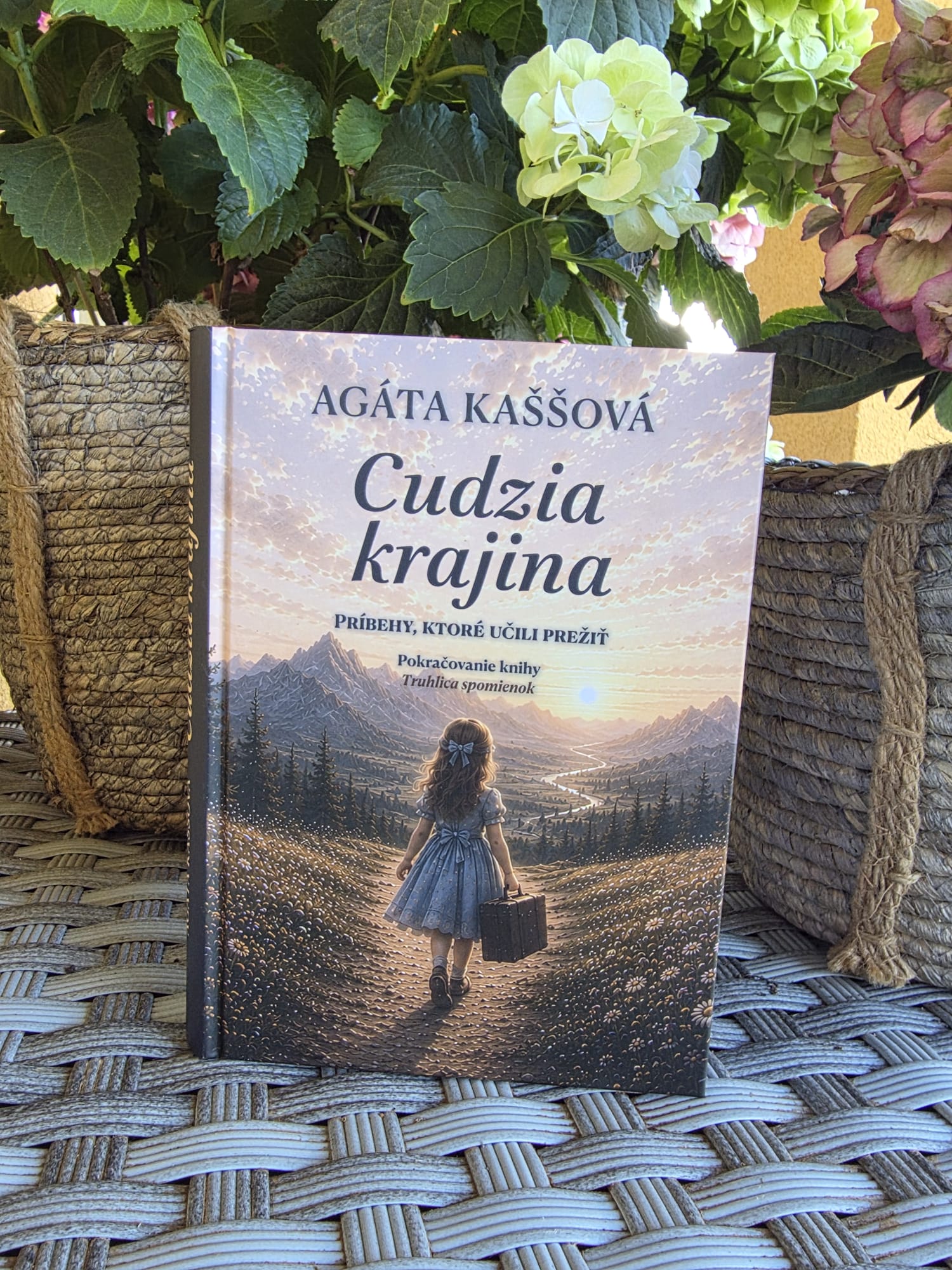 Cudzia krajina